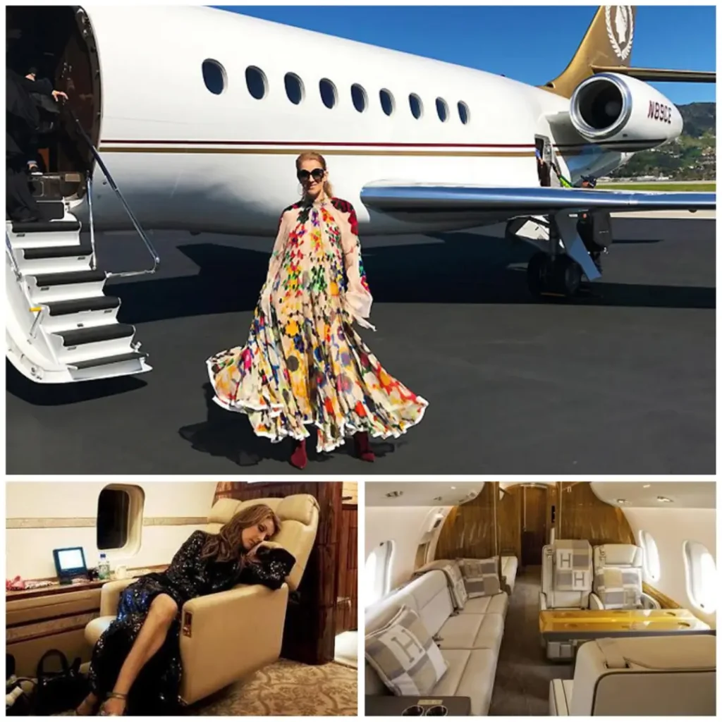 Celine Dion in a colorful outfit standing beside her private jet