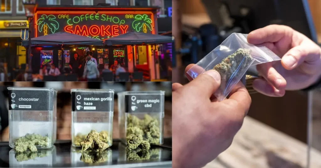 Collage of an Amsterdam cannabis coffee shop storefront, labeled cannabis jars, and a bag of cannabis being sold