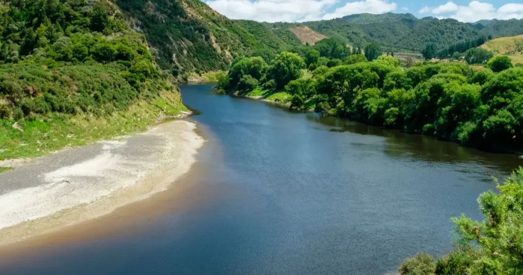 Aerial view of the Whanganui River winding through green hills in New Zealand