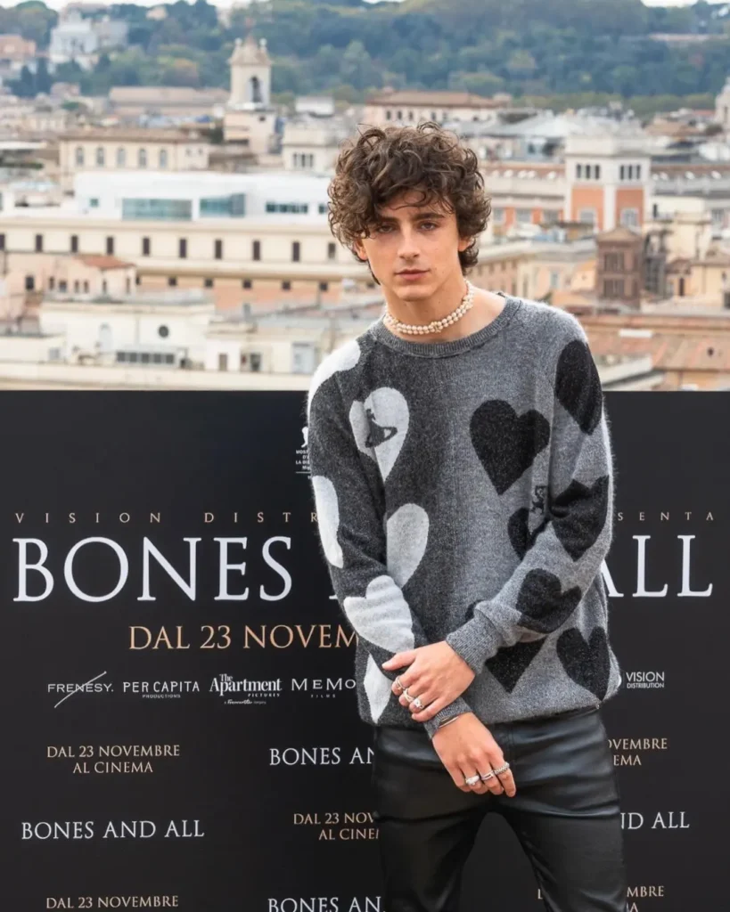 Timothée Chalamet Net Worth, Biography 2026